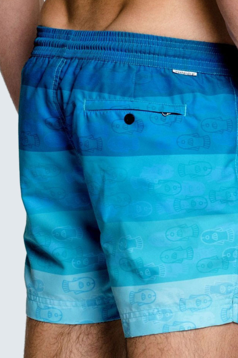 Cerulean Salmon