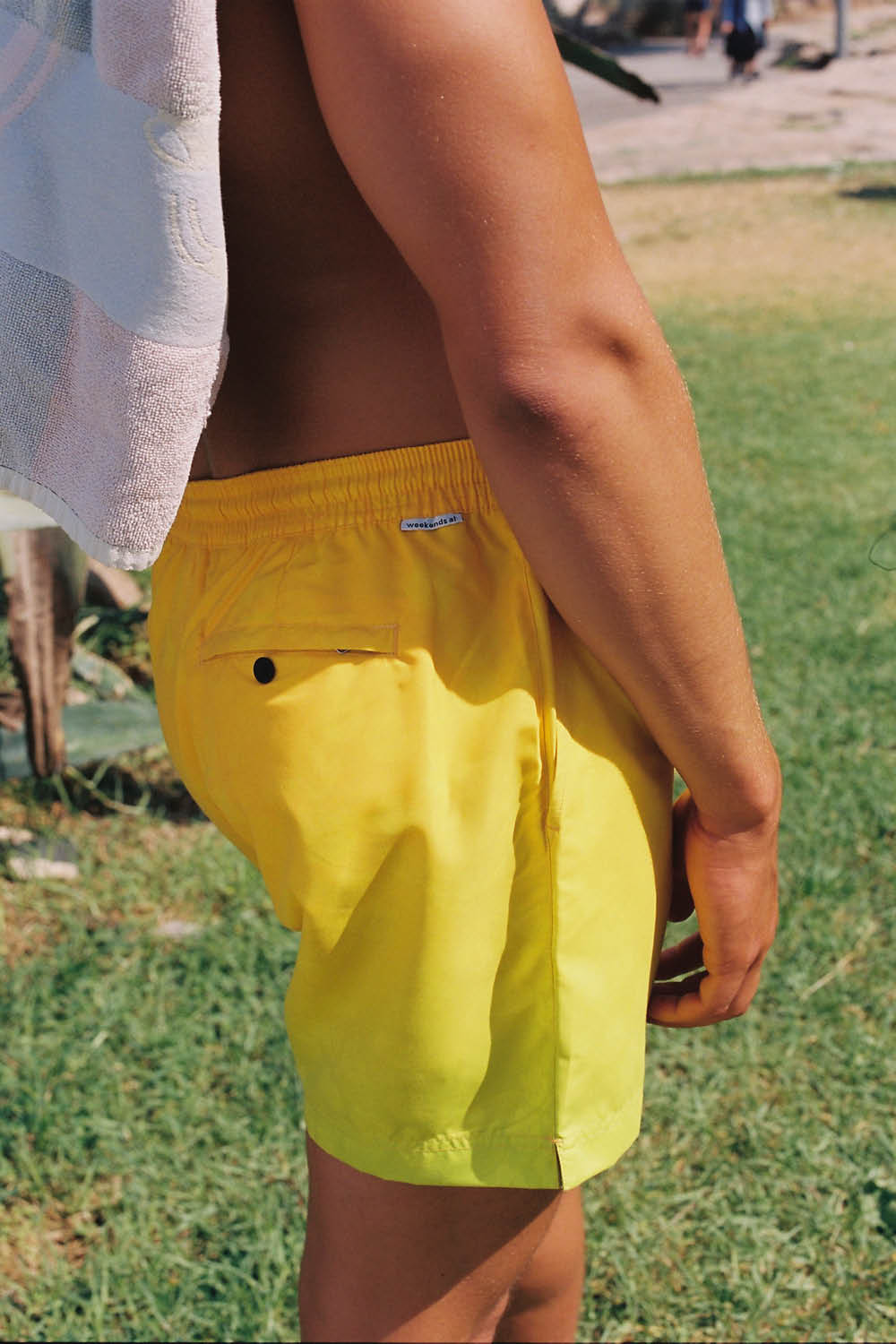 Sternbergia Yellow